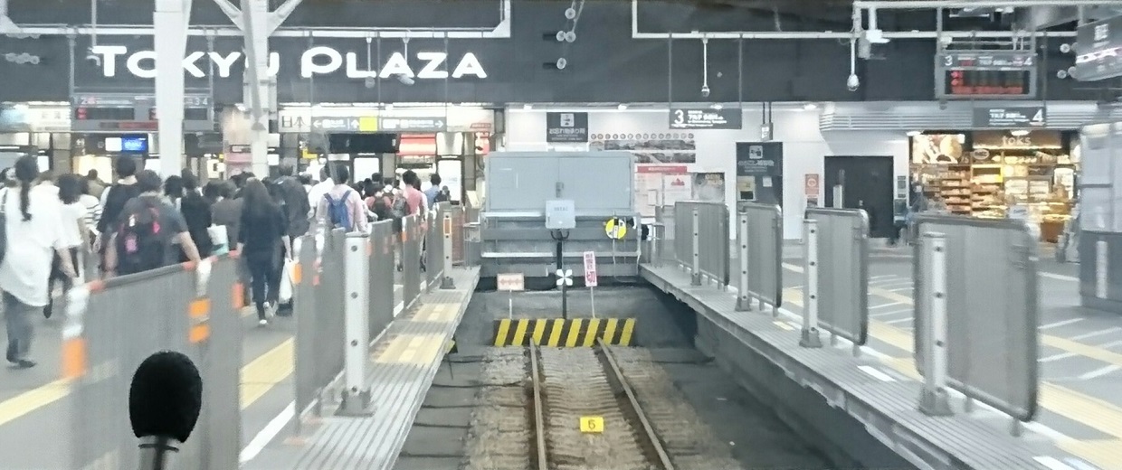 2017.10.12 東京 (37) 蒲田いき各停 - 蒲田 1240-520