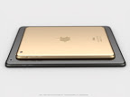 iPad mini2 Gold Image Martin Hajek