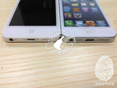 iPhone廉価版とiPhone5を並べたところ