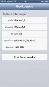 iPhone5 Geekbench SystemInfo