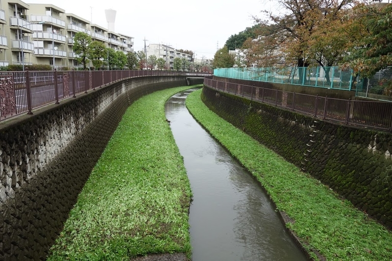 白百合女子大学めぐみ荘 旧菊池家主屋 東京都調布市緑が丘 墳丘からの眺め