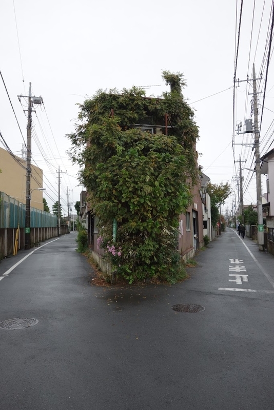 白百合女子大学めぐみ荘 旧菊池家主屋 東京都調布市緑が丘 墳丘からの眺め
