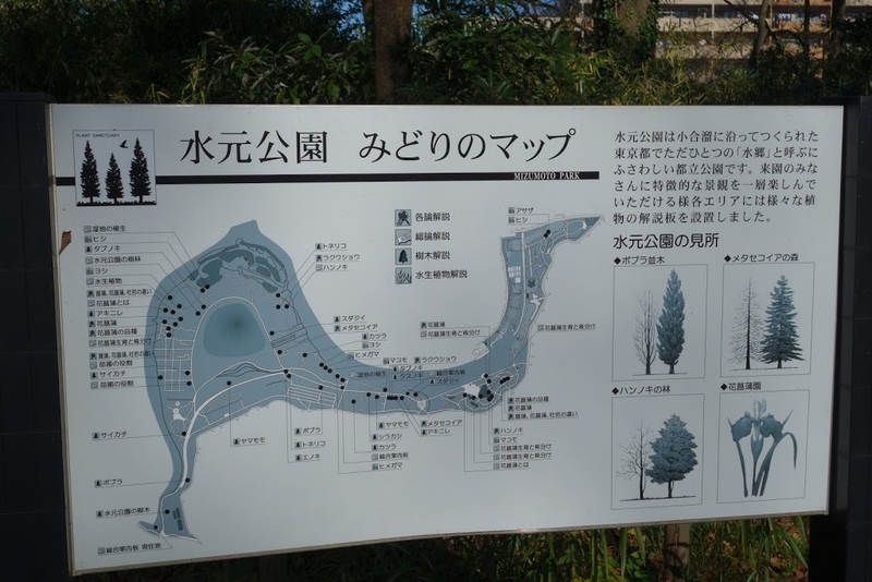 水元公園・1 東京都葛飾区水元・南水元 - 墳丘からの眺め