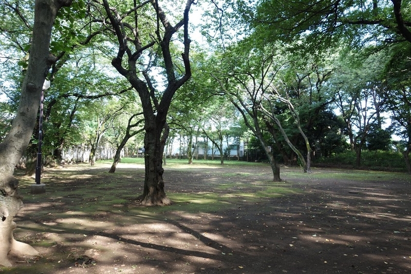 上野毛自然公園 二子玉川公園 東京都世田谷区上野毛 玉川 墳丘からの眺め