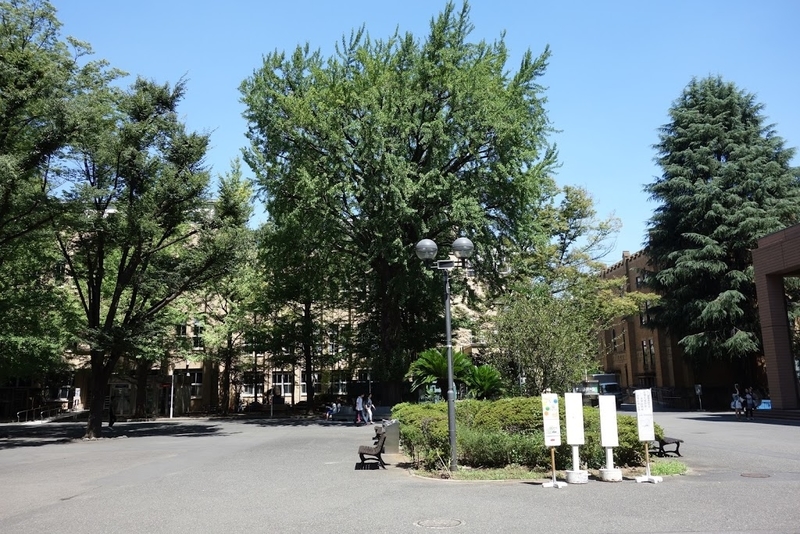 慶應義塾大学三田キャンパス界隈 - 墳丘からの眺め