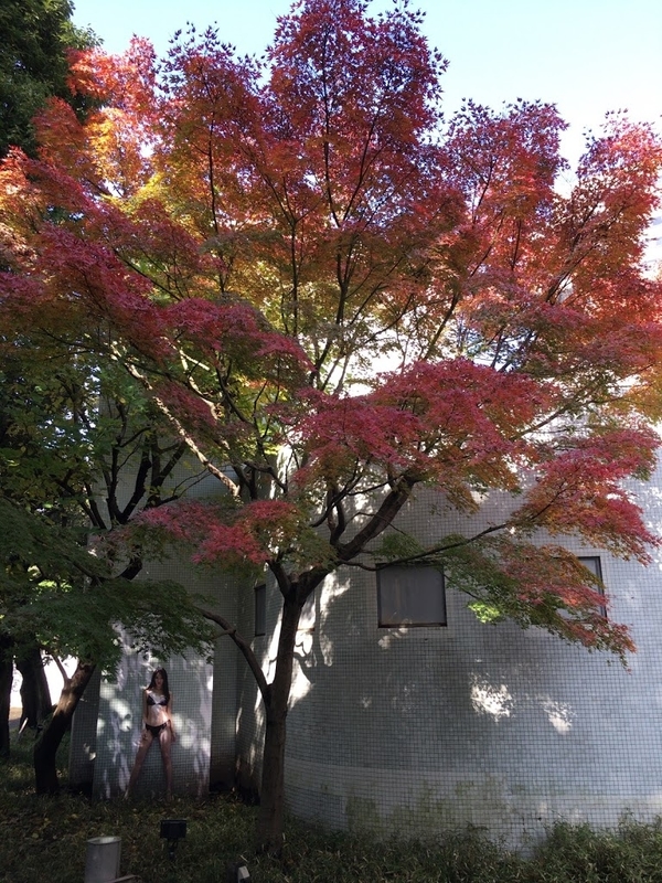 快楽の館 K 篠山紀信 写真集