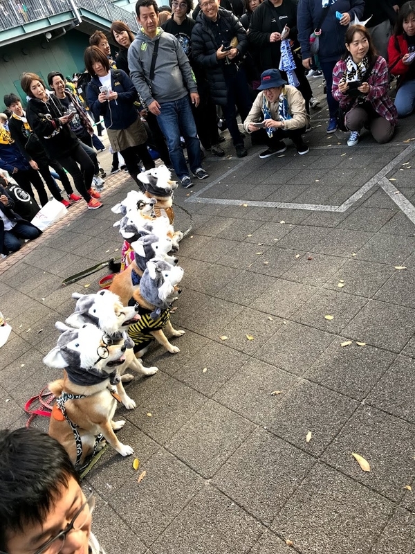 MAN WITH A MISSION 甲子園 GAWジャン MAN WITH A MISSION ライブ in 