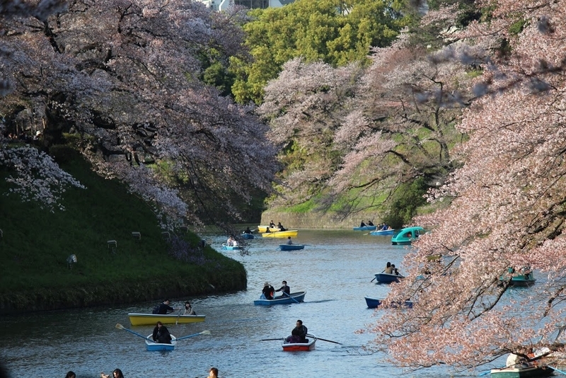みにれびゅー011：Canon EF-S55-250mm F4-5.6 IS II - ヒビノ